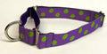 Purple with Lime Green Dots Martingale Collar 1in