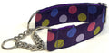 Purple with Pink, Green, Blue, and Lavender Dots Chain Martingale Collar 1 1/2 in