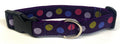 Purple with Pink, Green, Blue, and Lavender Dots Dog Collar 1in