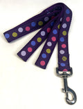 Purple with Pink, Green, Blue, and Lavender Dots Dog Leash 1in