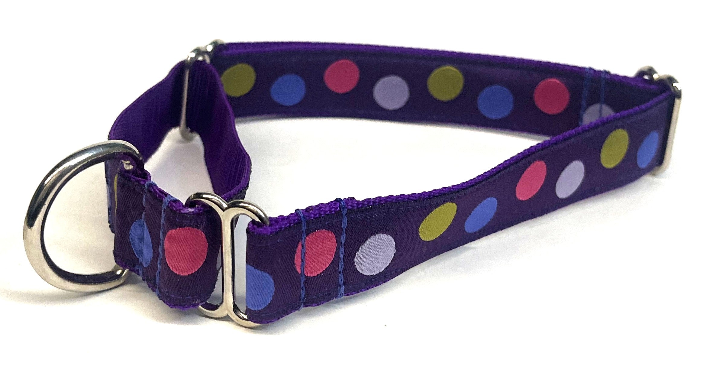 Purple with Pink, Green, Blue, and Lavender Dots Martingale Collar 1in