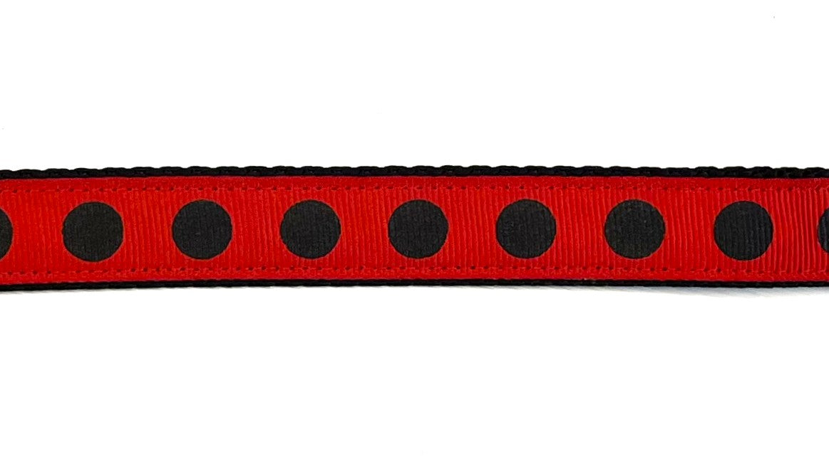 Red with Black Dots Dog Collar 3/4 inch on black webbing