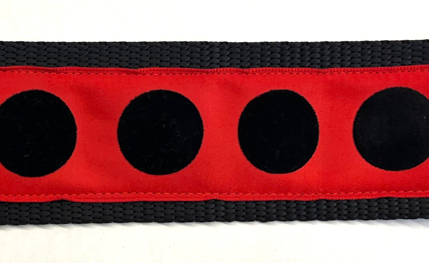 Red with Black Velvet Dots Dog Collar 2in