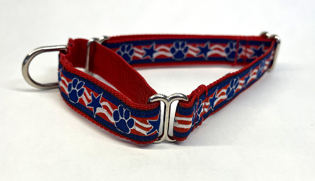 Patriotic Paws and Stars Martingale Collar 3/4
