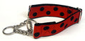 Red with Black Dots Chain Martingale Collar 1 1/2 in