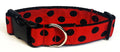 Red with Black Dots Dog Collar 1 1/2 in