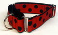 Red with Black Dots Martingale Collar 1 1/2 in