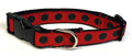 Red with Black Dots Dog Collar 3/4