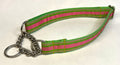 Tan, Green, Pink Stripe Chain Martingale Collar 1in