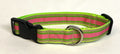 Tan, Green, Pink Stripe Dog Collar 1in