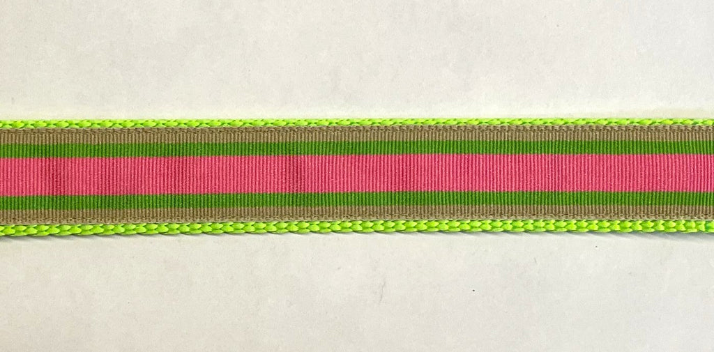 Tan, Green, Pink Stripe Dog Leash 1in