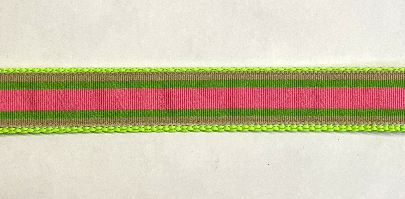 Tan, Green, Pink Stripe Dog Leash 1in
