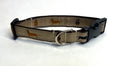 Tan with Dachshunds Dog Collar 3/4
