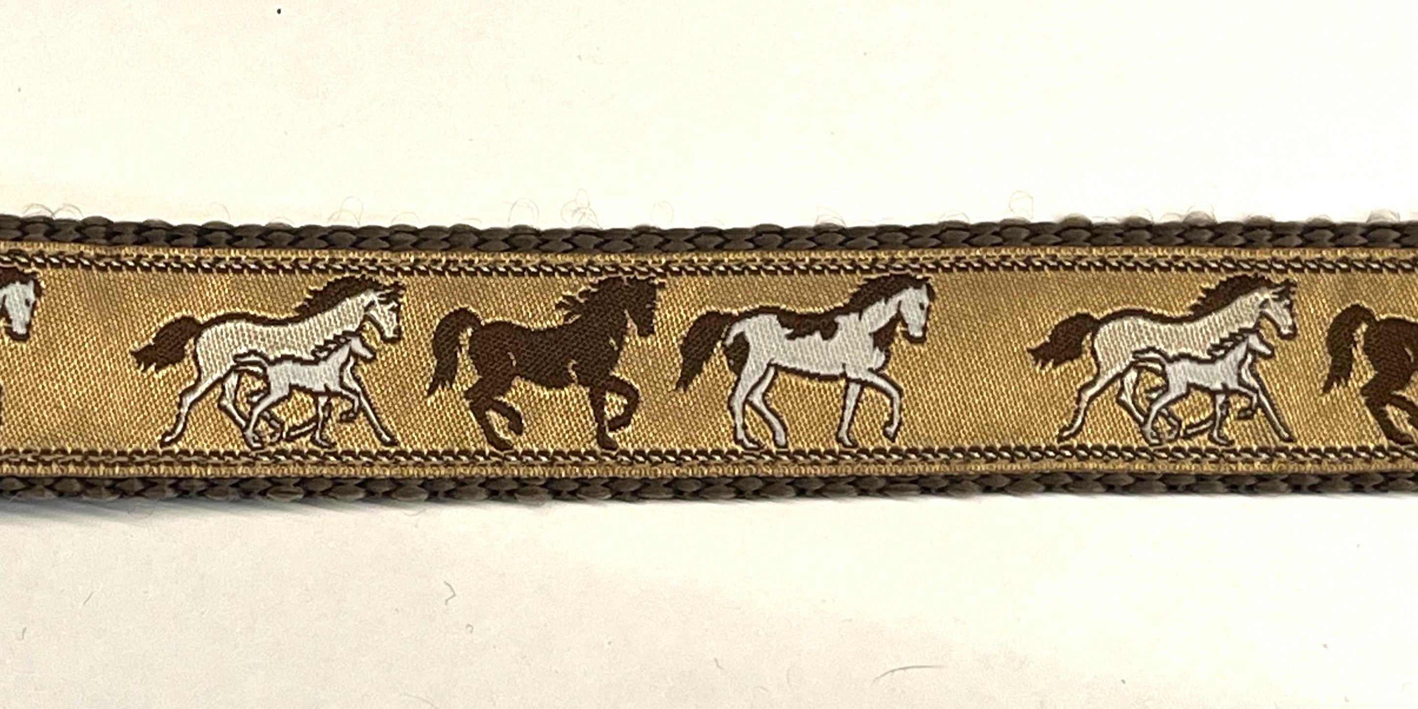 Tan with Brown Horses Dog Leash 1in