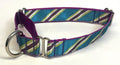Teal, Green, White, & Purple Diagonal Stripe Martingale Collar 1in