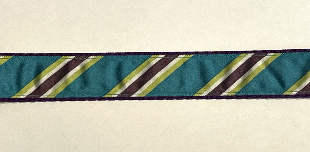 Teal, Green, White, & Purple Diagonal Stripe Dog Leash 1in