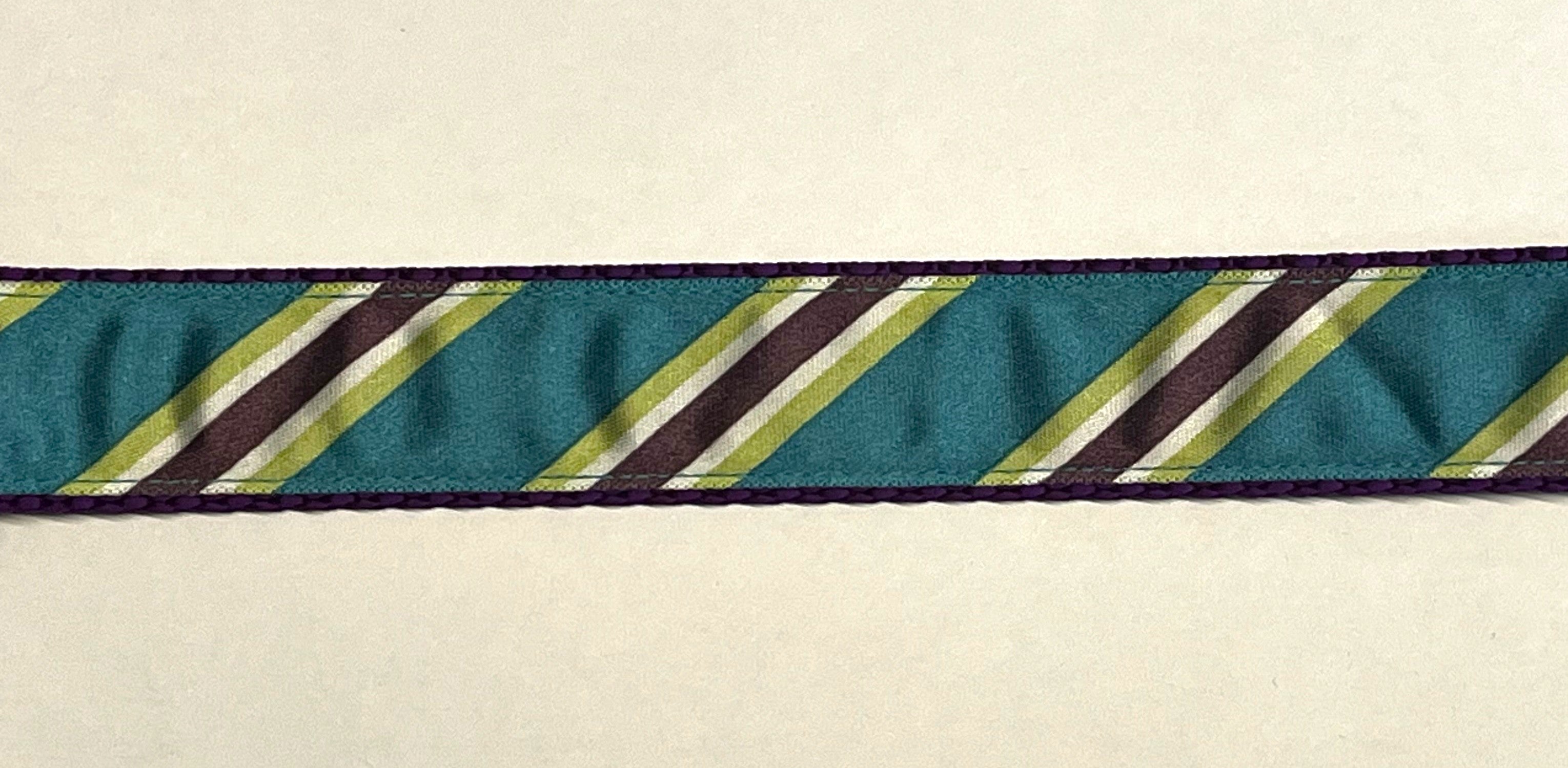 Teal, Green, White, & Purple Diagonal Stripe Dog Leash 1in