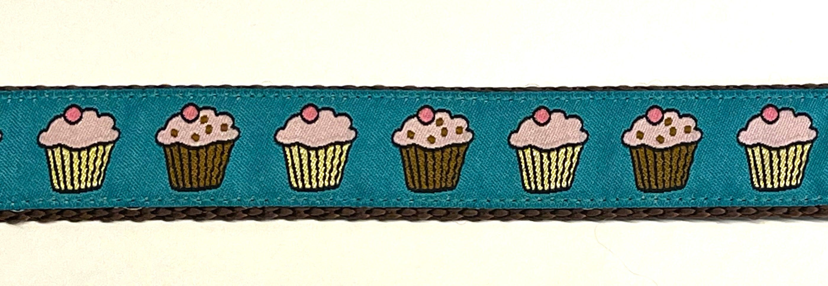 Teal with Cupcakes Dog Leash 1in