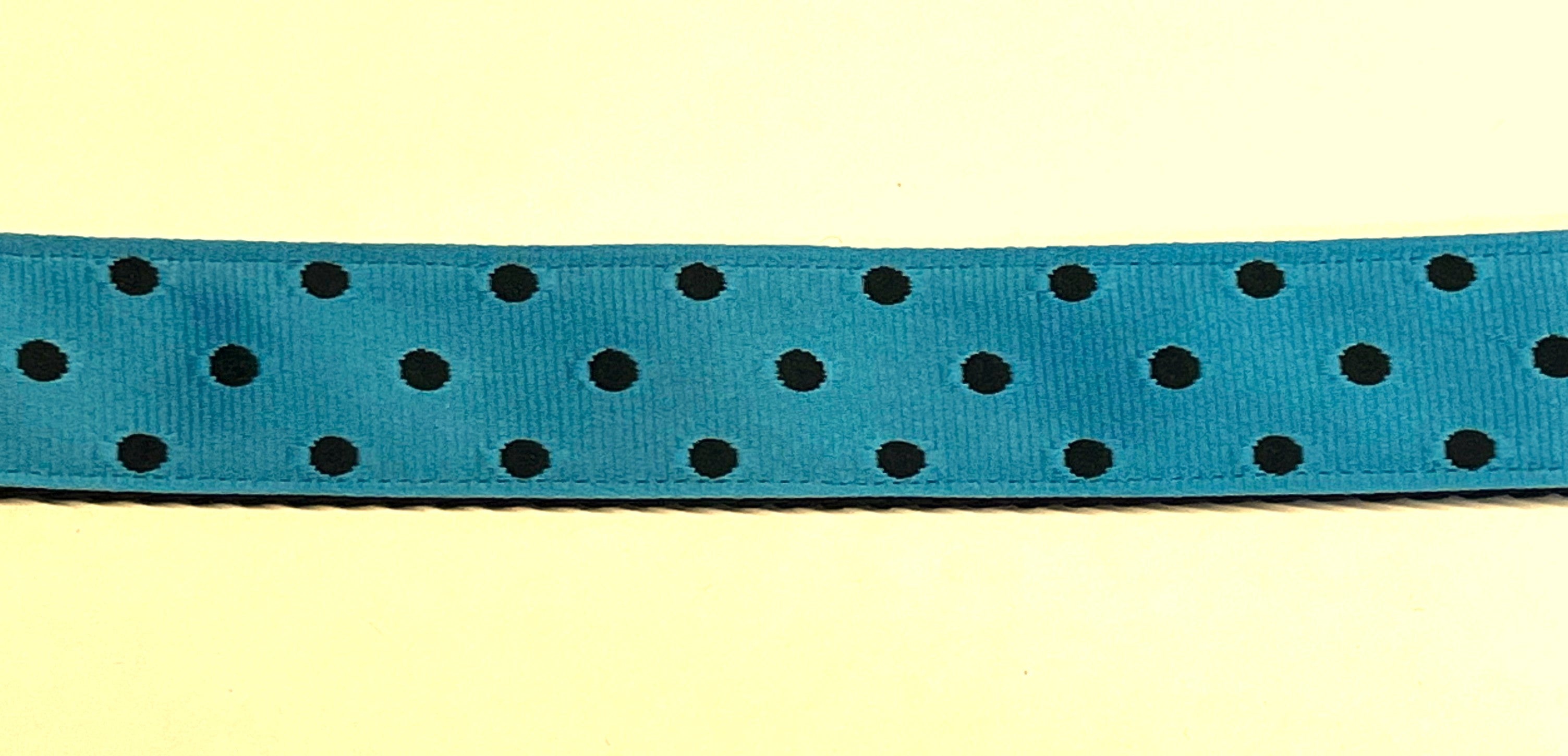 Turquoise with Black Polka Dots Dog Leash 1in