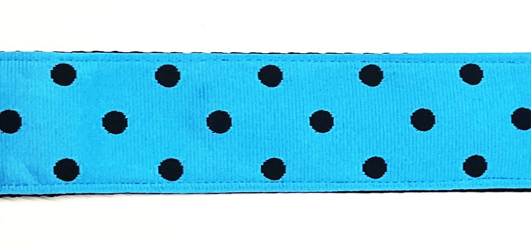 Turquoise with black polka dots dog collar 1.5 inch on black webbing