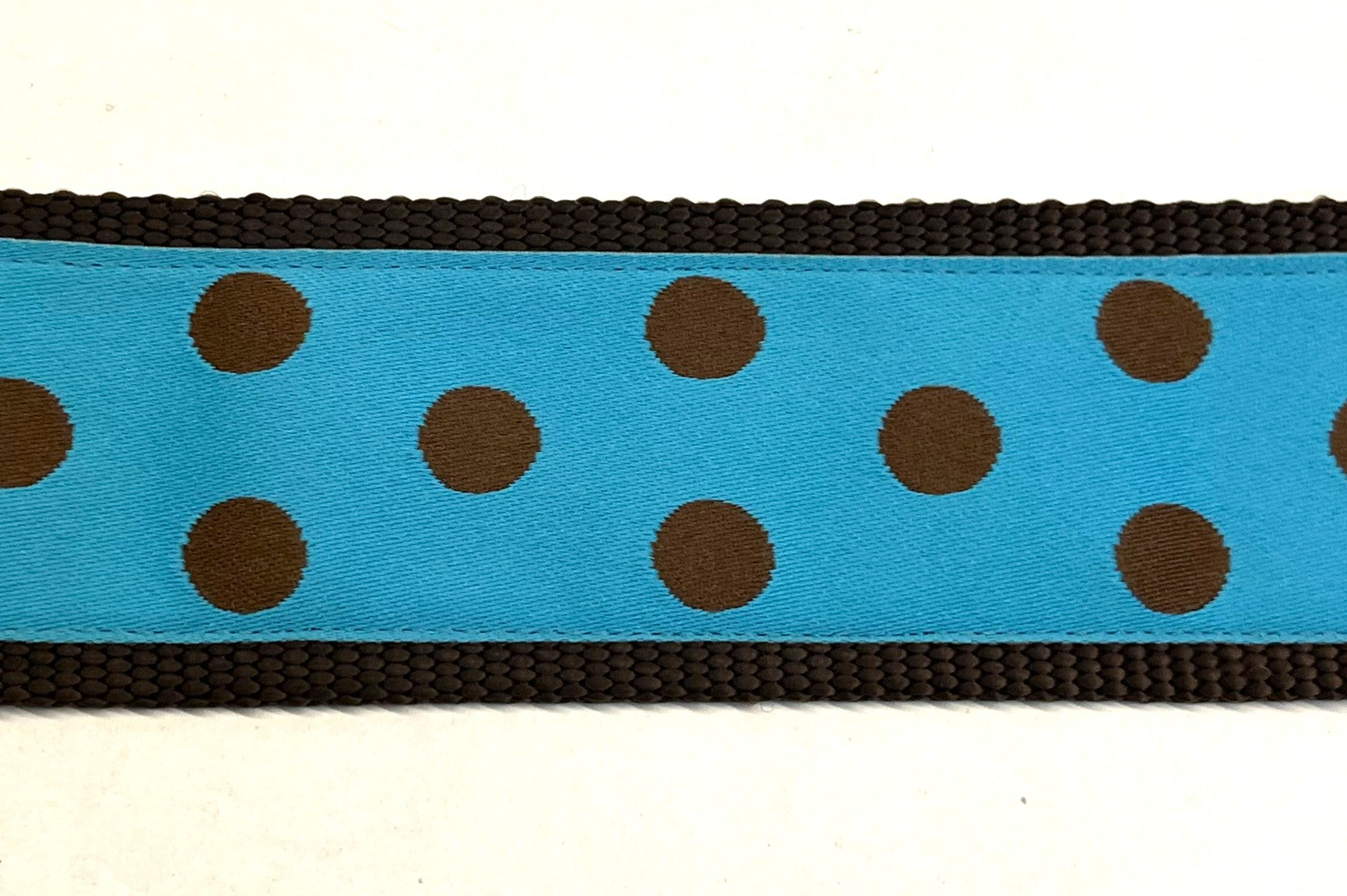 Turquoise with Brown Polka Dots Dog Collar 2in