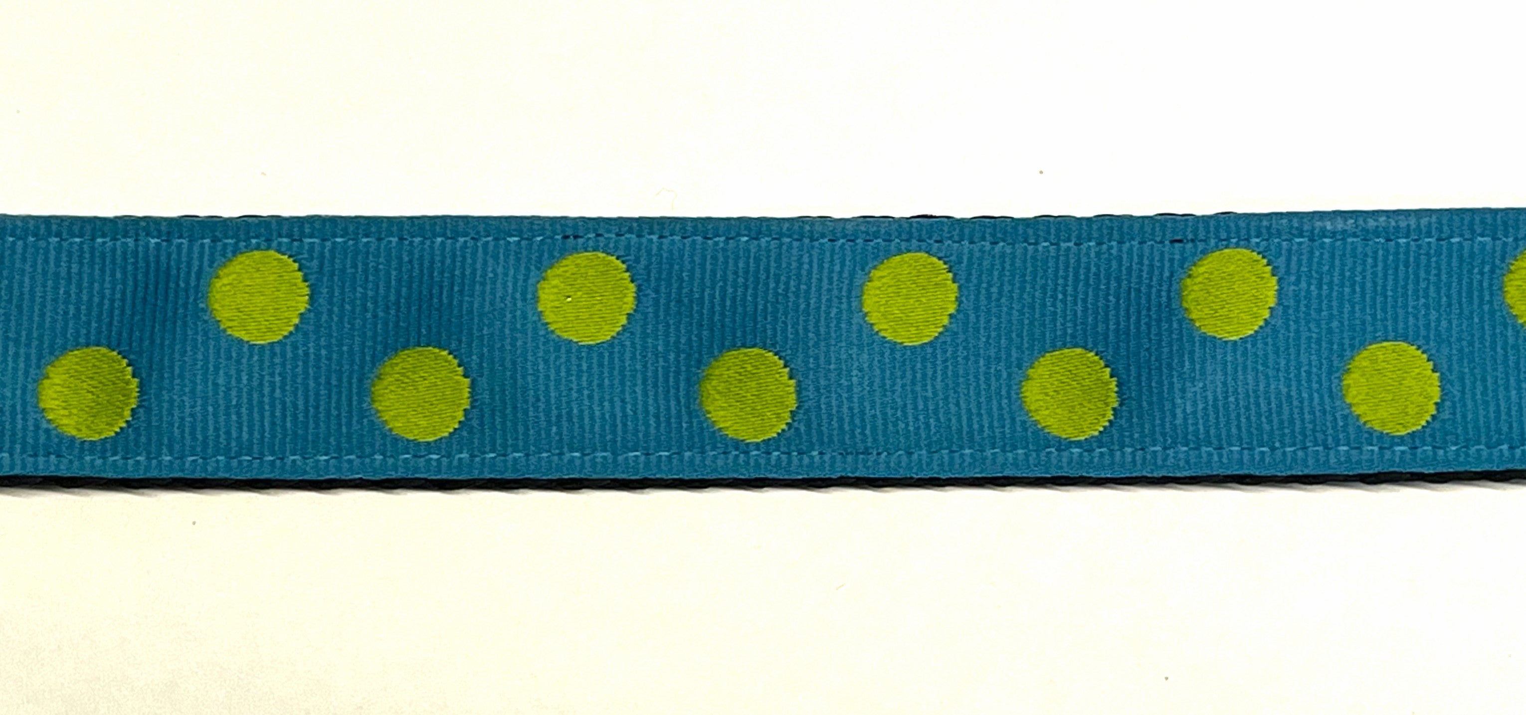 Turquoise with Lime Green Dots Dog Leash 1in