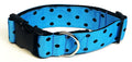 Turquoise with Black Polka Dots Dog Collar 1 1/2 in