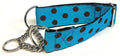 Turquoise with Brown Dots Chain Martingale Collar 1 1/2 in