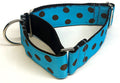 Turquoise with Brown Dots Martingale Collar 1 1/2 in