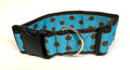 Turquoise with Brown Polka Dots Dog Collar 2in
