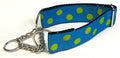 Turquoise with Lime Green Dots Chain Martingale Collar 1 1/2 in
