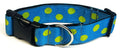 Turquoise with Lime Green Dots Dog Collar 1 1/2 in