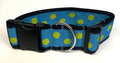 Turquoise with Lime Green Dots Dog Collar 2in