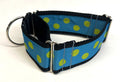 Turquoise with Lime Green Dots Martingale Collar 2in