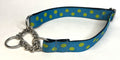 Turquoise with Lime Green Dots Chain Martingale Collar 1in