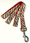 White, Red, Green, Black, Blue Diagonal Stripe Dog Leash 1in