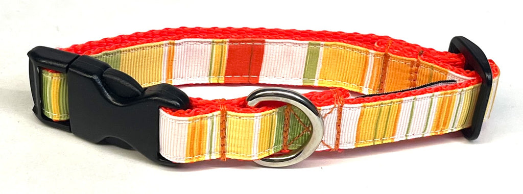 White, Yellow, Orange, Green Vertical Stripe Dog Collar 3/4