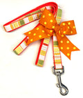 White, Yellow, Orange, Green Vertical Stripe Dog Leash 3/4