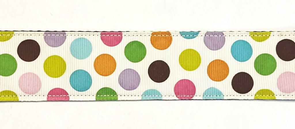 White with Blue, Pink, Orange, Green, Purple, Brown, and Yellow Polka Dots Dog Collar 1 1/2 in
