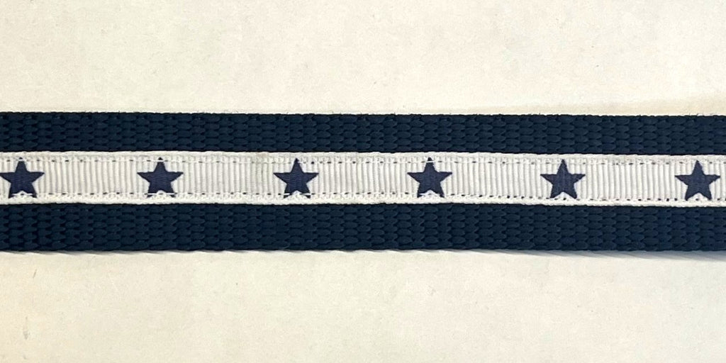 White with Navy Stars Dog Collar 1in