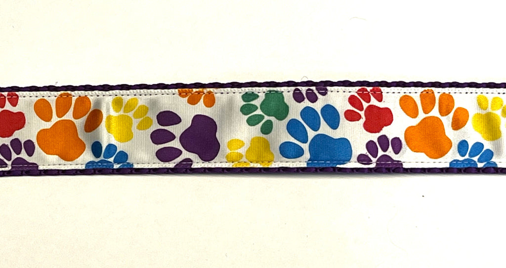 White with Rainbow Paws Martingale Collar 1in