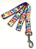 White with Rainbow Paws Dog Leash 1in