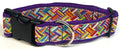 White and Rainbow Weave Dog Collar 1 1/2 in