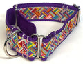 White and Rainbow Weave Martingale Collar 1 1/2 in
