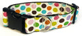 White with Blue, Pink, Orange, Green, Purple, Brown, and Yellow Polka Dots Dog Collar 1 1/2 in