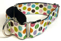 White with Blue, Pink, Orange, Green, Purple, Brown, and Yellow Polka Dots Martingale Collar 1 1/2 in