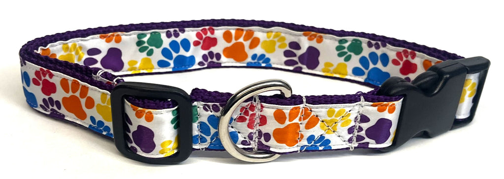 White with Rainbow Paws Dog Collar 1in