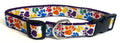 White with Rainbow Paws Dog Collar 1in
