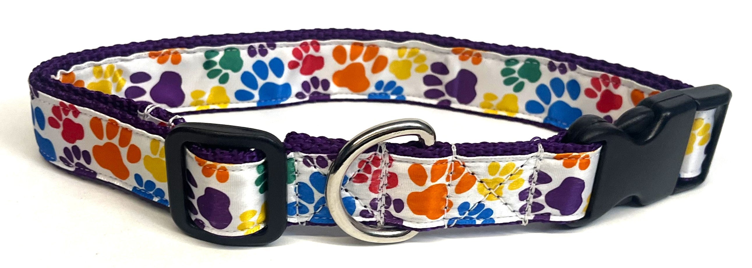 White with Rainbow Paws Dog Collar 1in