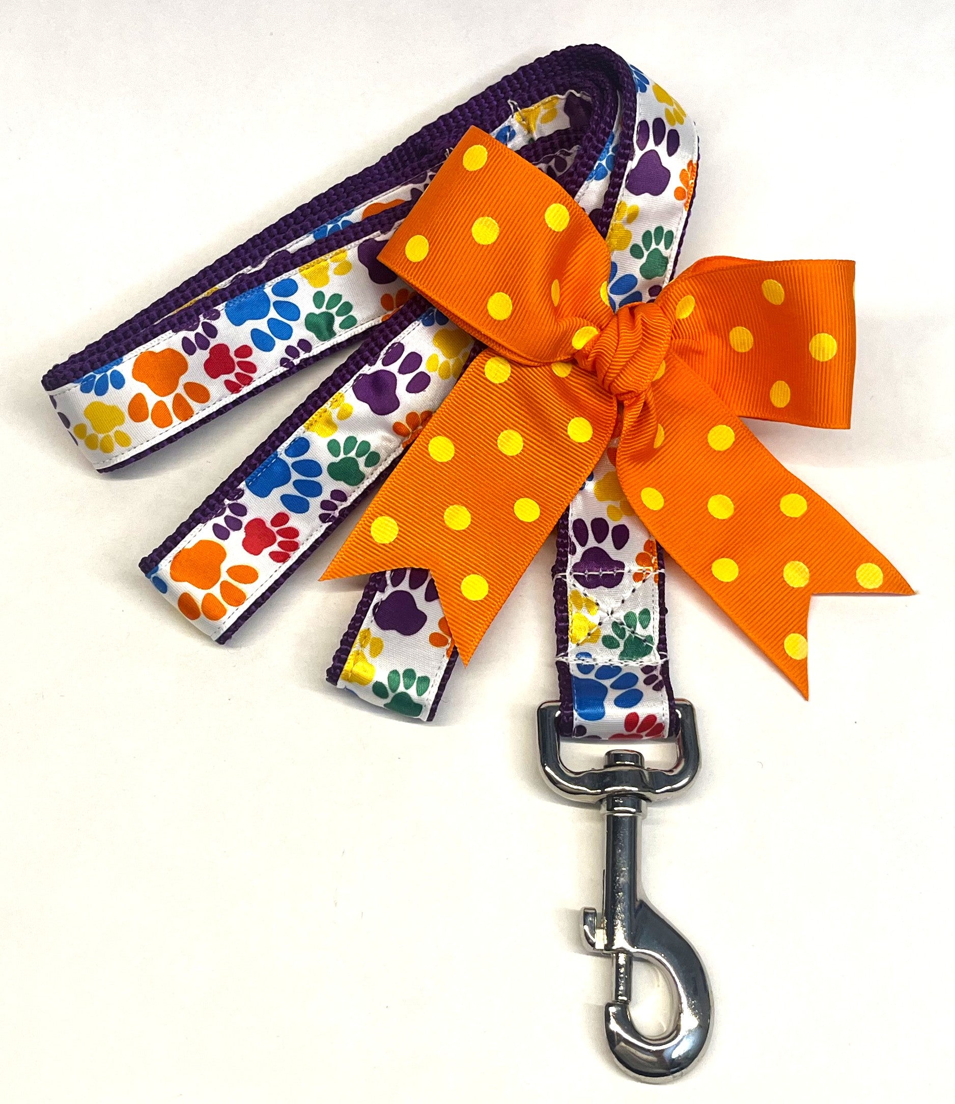 White with Rainbow Paws Dog Leash 1in